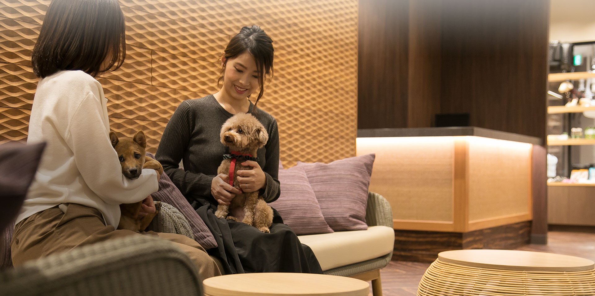 シェラトンドッグ 愛犬の安心と幸せな毎日をトータルサポート